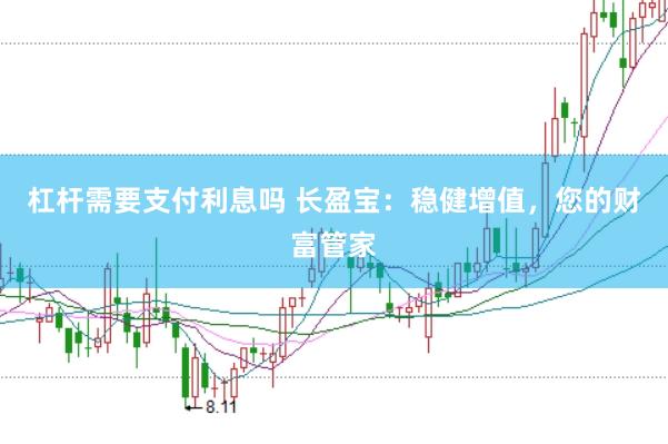 杠杆需要支付利息吗 长盈宝：稳健增值，您的财富管家
