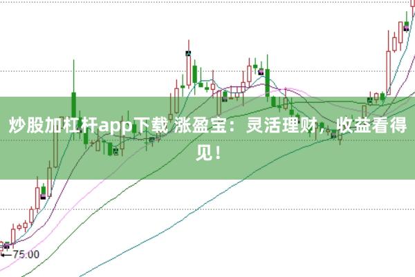 炒股加杠杆app下载 涨盈宝：灵活理财，收益看得见！