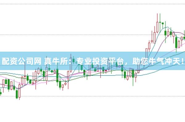 配资公司网 真牛所：专业投资平台，助您牛气冲天！