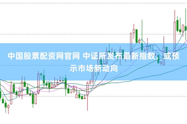 中国股票配资网官网 中证所发布最新指数，或预示市场新动向