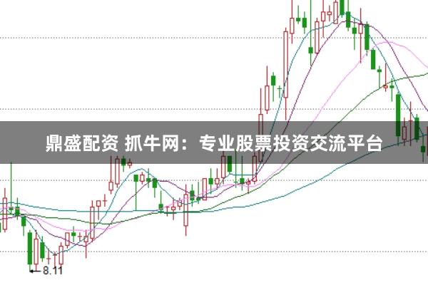 鼎盛配资 抓牛网：专业股票投资交流平台